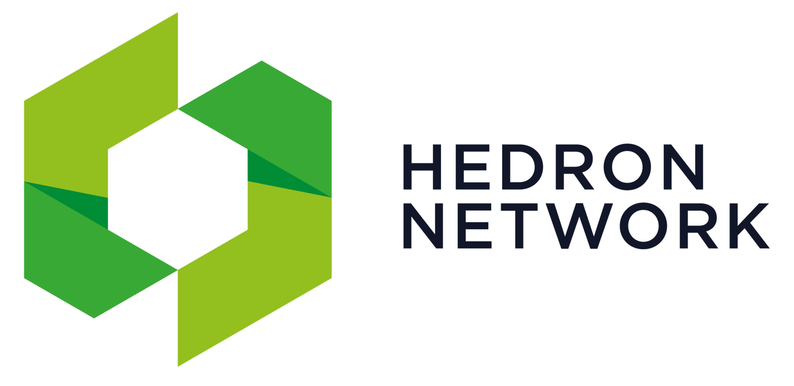 Hedron network