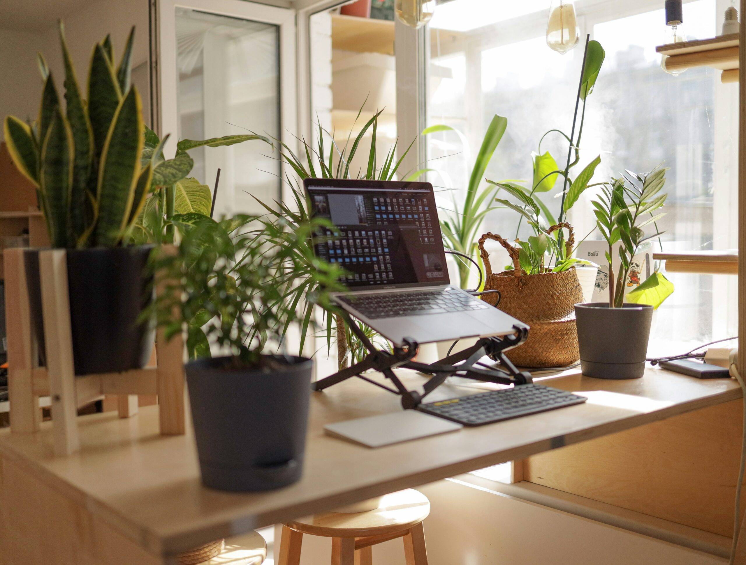 A tidy home workspace with a raised laptop, keyboard and plants designed to prevent aches and pains when working.