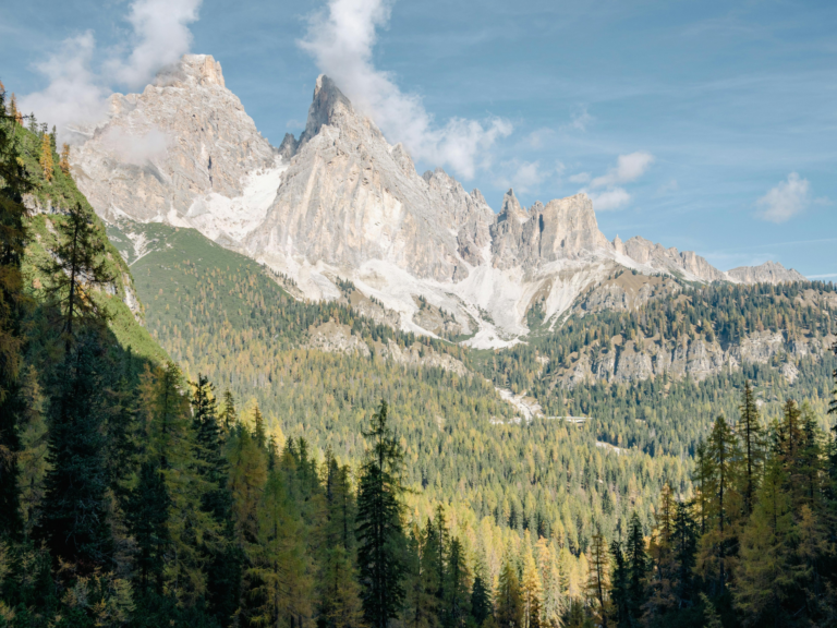 Travel insurance - Robison & Co